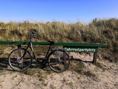 psylocybina - 2. Idąc na plażę trzeba zostawić rower na parkingu!