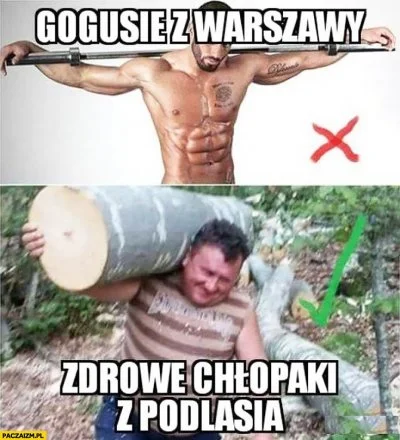 CzerstwaBulka - Warszawioki sa smieszne jak na gorzale mowia "gouda"
albo na ludzi "...