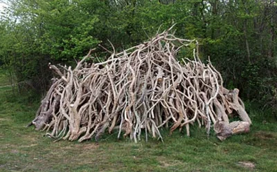 Eltomas - @tomaszek1161: @Korneliusz4: 
Metal