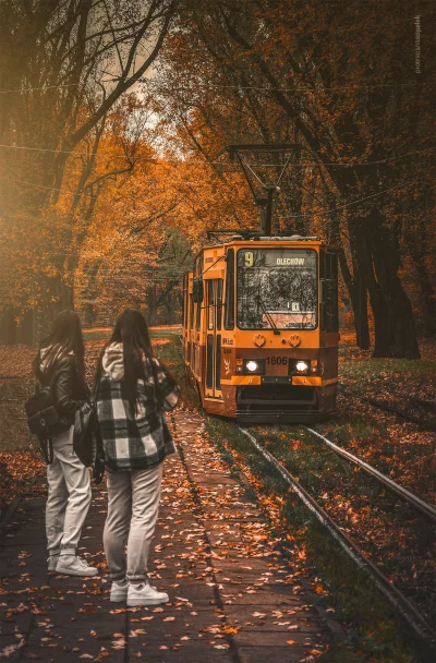 mrsopelek - Rok temu, zrobione przypadkiem. W tym roku już się nie powtórzy. Tramwaje...