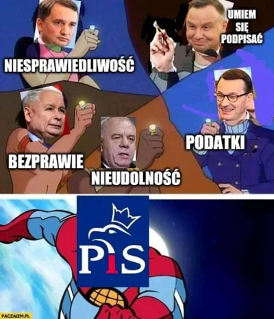 niedzwiedzmis - #bekazpisu #polityka