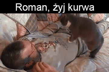 Kosciany - Roman, żyj k---a
#cpr #koty #smiesznekotki #gimbynieznajo ...... czekajci...