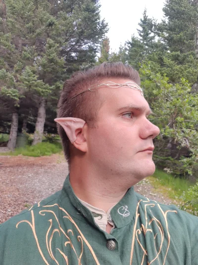 G.....y - @kartofel322: ale to Elrond a nie LEgolas przeciez

 The face of Elrond wa...