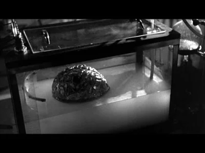 kartofel322 - Shpongle - Brain in a Fishtank

#muzyka #psybient #shpongle