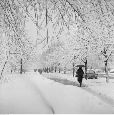 Own3d_23 - Grupa na Facebooku : Stara Warszawa na fotografiach 

1978 rok - Chodnik w...