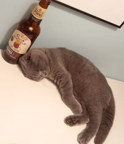 murmurlrl - @Exende: Koty coś ogólnie nadużywają alkoholu
( ͡° ͜ʖ ͡°)