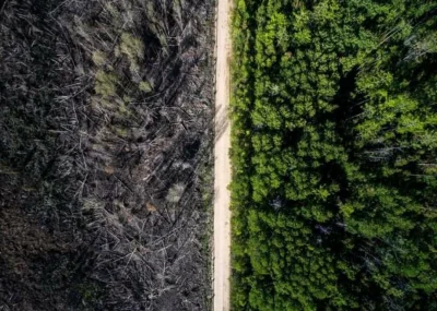 BozenaMal - Wystarczyło tak niewiele żeby zatrzymać ogień. 
Droga, która ocaliła las...