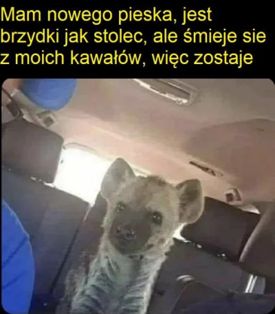 Andrzejuniedenerwuj - #heheszki #humorobrazkowy #smiesznypiesek #zwierzaczki