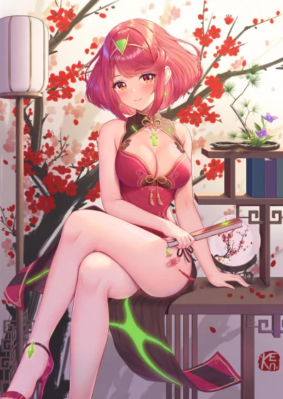 bakayarou - #randomanimeshit #xenobladechronicles2 #pyra #anime