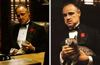 Sandrinia - Kot na kolanach Vito Corleone był improwizacją, znaleziono go na parkingu...