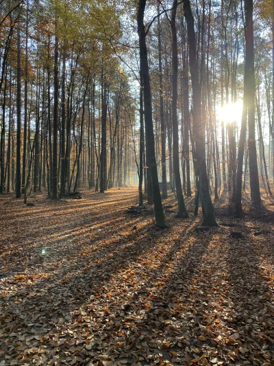 papabless - fajne się dzisiaj biegało