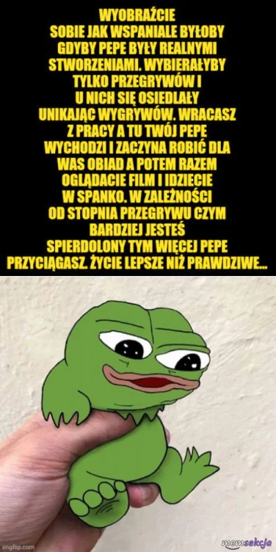 bluzaHOODIE - #memy #heheszki #pepe #przegryw