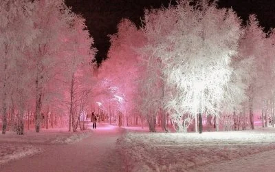 lesnydzban - #zima #earthporn