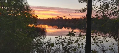 Majk83 - #rower #mtb Nie ma to jak poranna przejażdżka