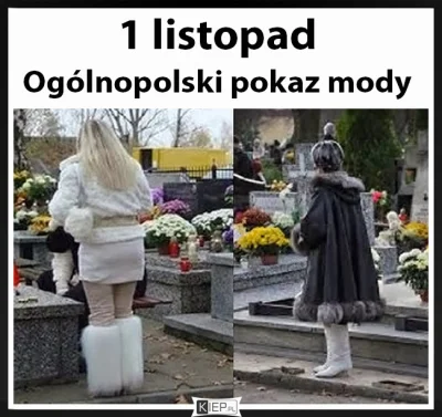 F.....L - #memy #heheszki #humorobrazkowy