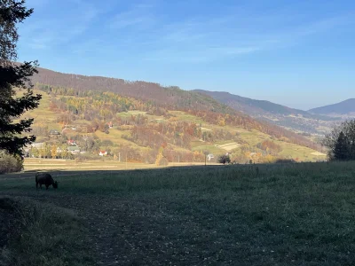 r0x3r - Telefon odzyskany! Obyło się bez scen rodem z filmów sensacyjnych, ale sprawa...