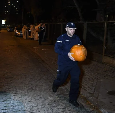 dudi-dudi - To są te działania polskiej policji wpływające na poczucie bezpieczeństwa...