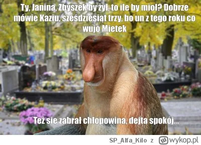 Dziki_Odyniec