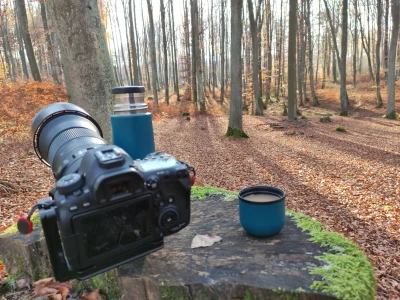 pavulon78 - Świąteczny trip po lasach. Kilka dni przed wyprowadzką od prawie byłej ju...