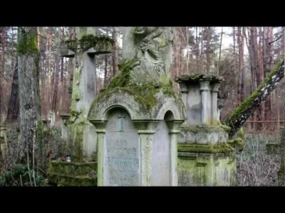 powsinogaszszlaja - Stare Brusno - Cmentarz przy ruinach cerkwii - Roztocze Wschodnie...