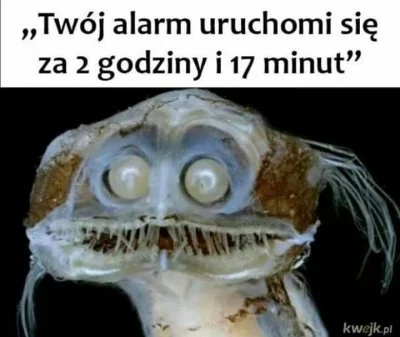 Krzychui - Nie mogę usnąć (╯°□°）╯︵ ┻━┻