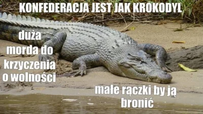 E.....r - Konfabulacja nie tak dawno robiła wszystko by uwalić pomysł opozycyjnego ma...