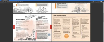 Saeglopur - PiS to wydarzenie na skalę wojny. 

"Failed state" - kraj już nawet nie...