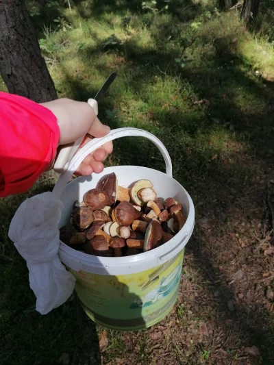 Rymbaba - 1. Nauczyć się tasować karty (faro, waterfall) - dokumentuj na nagraniu.
2...