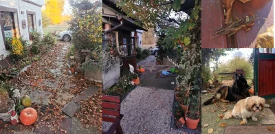 epiceggplant - #mirkowyzwanie

1. Wykonaj jesienną dekorację do domu z naturalnych ...