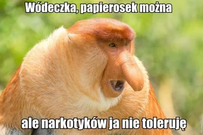 Szczuroskoczek - @Dzieciz_Choroszczy: