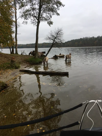 b4994 - Mazury są najpiękniejsze wiosną i jesienią, gdy nie ma turystów, a takie wido...