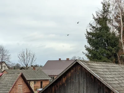 razor172 - Helikoptery z poligonu w Nowej Dębie lecą w kierunku granicy z Białorusią....