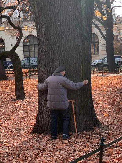 JanParowka - Ej Mirki, dziadek kradnie drzewo. Gdzie to zgłosić?

#krakow #przyroda...