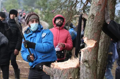 szamponziolowy - Biedny imigrant rąbie drzewo. Niestety nie siekierą fiskarsa, a była...