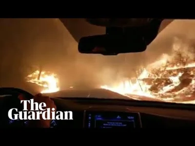 slime_mold - Jazda samochodem przez pożar lasu

#pozar #samochody #przypal