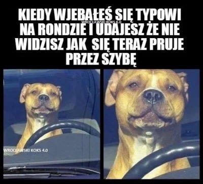 123melanz123 - #gownowpis #heheszki #humorobrazkowy #byloaledobre