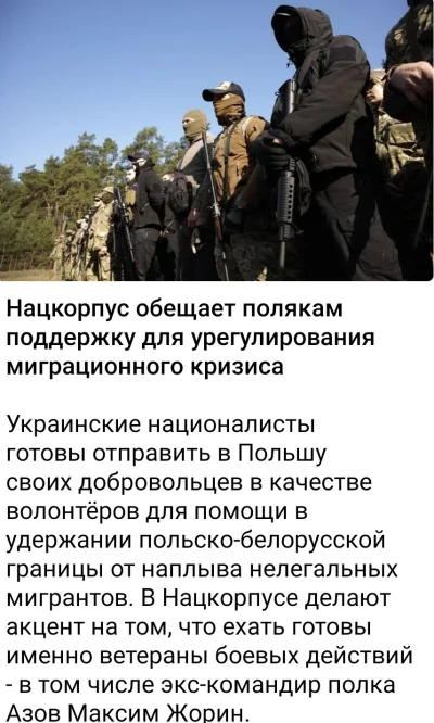 technojezus - Ukraińscy nacjonaliści z m.in. pułku Azow chcą pomóc Polakom przy ochro...