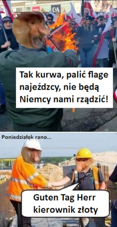 BestiazWadowic_37 - #heheszki #humorobrazkowy #marszniepodleglosci