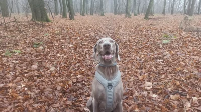 BarkaMleczna - Jedyną zaletą listopada jest to, że normalnym ludziom nie chce się cho...