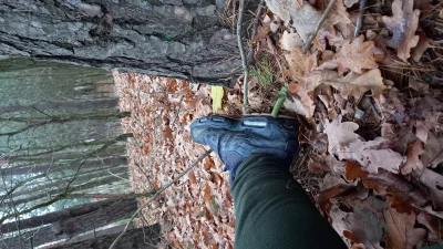 kujwdupe - Leżę sobie w lesie, a co tam u was na #neet jest robione
