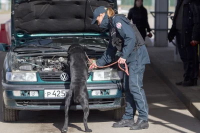 rozdartapyta - Nie jestem za pisem, ale gdyby teraz rządził ktoś z opozycji to strach...