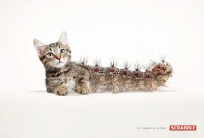 cheeseandonion - !Cat-erpillar

#scrabble #reklamakreatywna