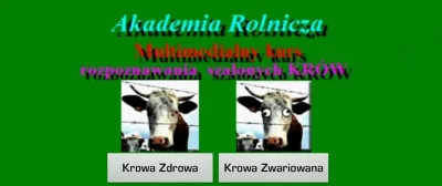 robom85 - Jak rozpoznać zdrową krowę?