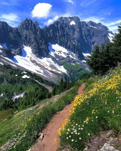 Borealny - Cascade Pass Trail, North Cascades National Park.
Washington, USA
SPOILER
...