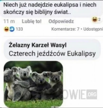 Jogi4 - #heheszki #humorobrazkowy #analfabetyzm