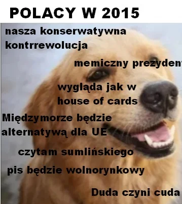 Parker_ - Każdy kto ostrzegał przed PISem był wyzywany od lewaków. Znam przynajmniej ...