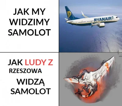 dawid110d - @Luck_89: NO ALE W WARSZAWIE też ludzie oglądali ten samolot jak przyleci...