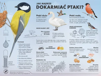 empathetic - Trochę przydatnych informacji zebranych w jednym miejscu :)
#dokarmiani...