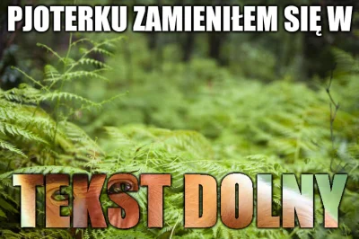 4.....0 - #konkursnanajbardziejgownianymemznosaczem #nosaczsundajski #heheszki #humor...