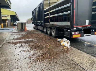 JudzinStouner - Przywiozłem dzisiaj do UK transport choinek. Pełniutką naczepę, aż bo...